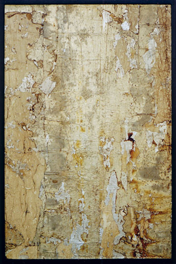 Tanya Bonello, Thermal series, No 20, 455x295mm, gypsum, found papermatter, polyurethane and oil on board, 2001